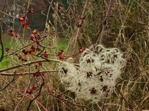 thumb_img_1178_1024-2