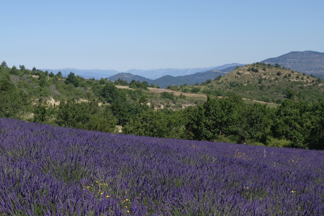 DsAD9AE3Tb6SOGgkmwZLqA_thumb_1ca4