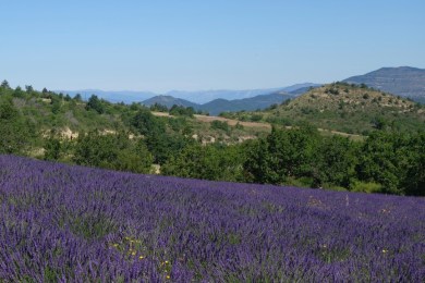 DsAD9AE3Tb6SOGgkmwZLqA_thumb_1ca4