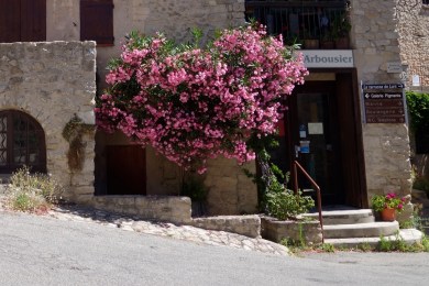 thumb__DSC6439_1024 2