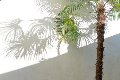 Gfl6XWuuQ2Gem07JEzw84w_thumb_23d1