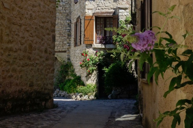 KbJE41SESWeEN0RMkuvJ0w_thumb_1d15