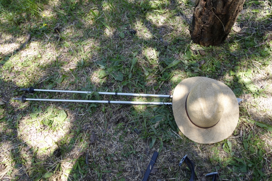 thumb__DSC0179_1024 Kopie