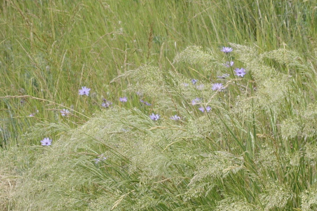 i84NtZ3kQCub14GhpQx2xw_thumb_1dae