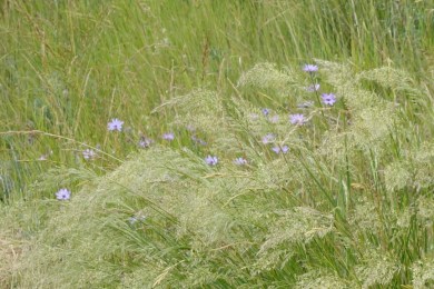 i84NtZ3kQCub14GhpQx2xw_thumb_1dae