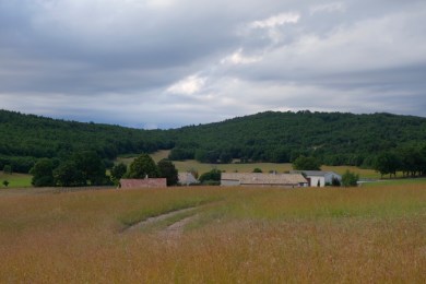 UNADJUSTEDNONRAW_thumb_1e45