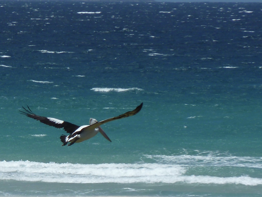 %ewhzVV7QRKkH9KnNoF%Tw_thumb_2b5a