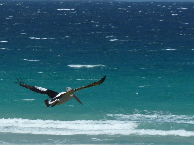 %ewhzVV7QRKkH9KnNoF%Tw_thumb_2b5a