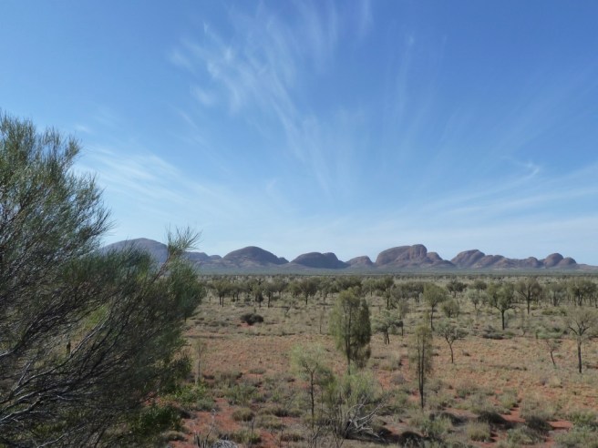 cAj23pERR3qgiYy+nFR1uw_thumb_2b89