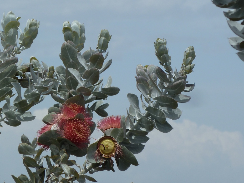 8PJtBSi1Sz2Z7zRHxqyanQ_thumb_2c13