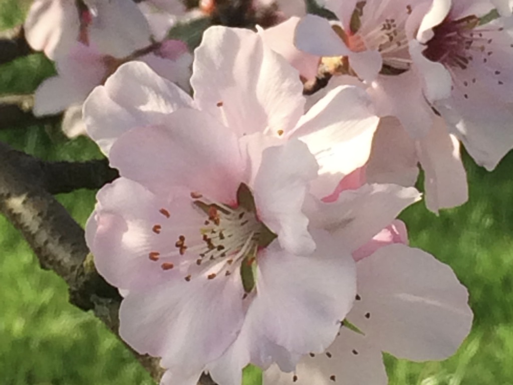 a4oA67QdStOy5HHY0+ED2g_thumb_2c4b