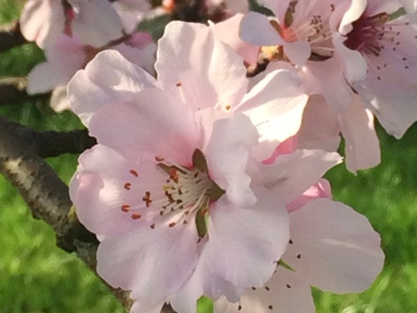 a4oA67QdStOy5HHY0+ED2g_thumb_2c4b