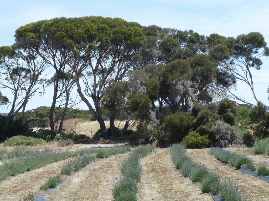 IFEJvV78StGIyYDdd51cMA_thumb_246e