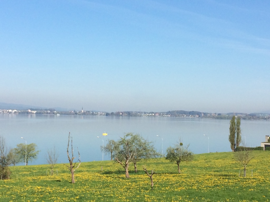 UNADJUSTEDNONRAW_thumb_2c6a