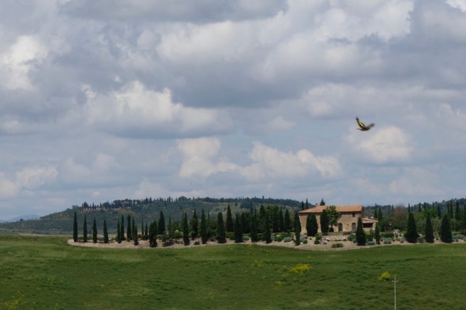 DKKa6VWcSzGTHHb1AaZ8nQ_thumb_2f08