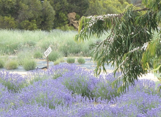 rrM0V9AzSvezJn1t6%nUiw_thumb_337b