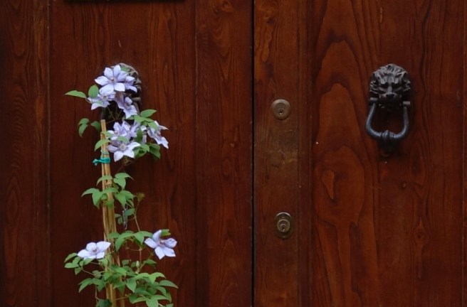 K8QJmaqTTs6u0LK19K%7yA_thumb_2da0