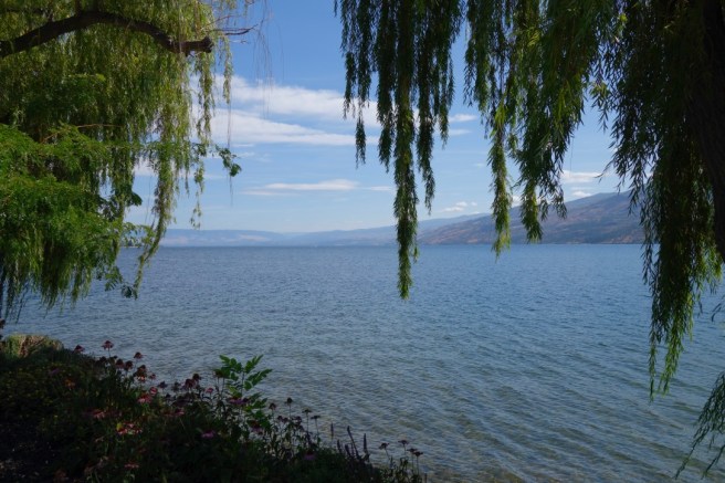 Yf4AbvetTkOnFUqegv2l9A_thumb_2508